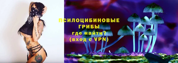 не бодяженный Аркадак