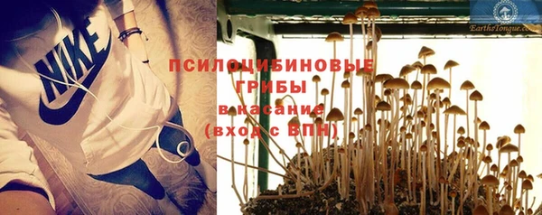 не бодяженный Аркадак